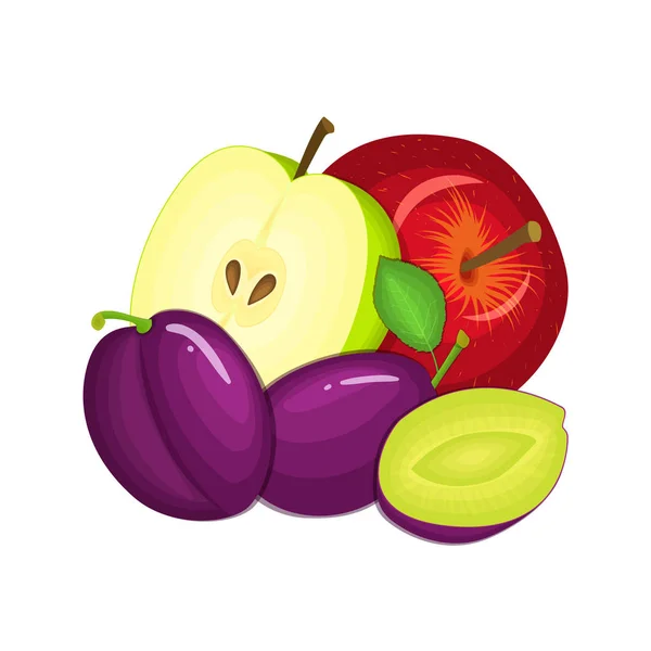 Összetétele több szilva és alma. Vektor érett gyümölcsök egész szelet, étvágygerjesztő keres. Csoport a finom design a csomagolás lé, reggeli, egészséges táplálkozás, vegetáriánus — Stock Vector