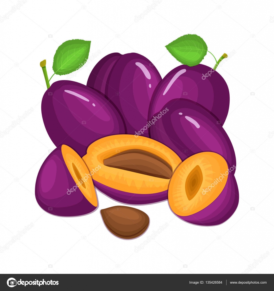 Vettoriale viola prugna frutta intera e fetta appetitoso alla ricerca Gruppo di frutti gustosi design colorato per il confezionamento di succhi di frutta