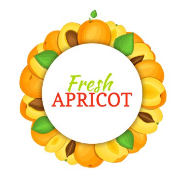 Renkli çerçeve lezzetli kayısı meyvesi oluşur. Vektör kartı çizim. Daire. Olgun taze kayısı meyve iştah açıcı tasarım suyu, paketlemek için arıyorum gıda Servis Kahvaltı