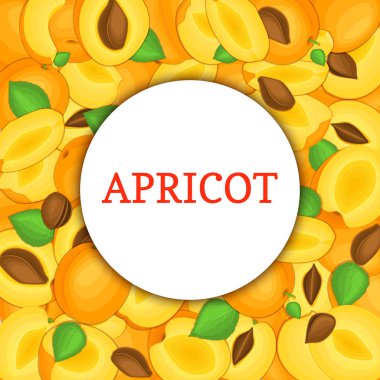 Olgun kayısı zemin üzerine yuvarlak beyaz çerçeve. Vektör kartı çizim. Lezzetli taze ve sulu bütün, tohum soyulmuş yarım dilim parçası bırakır. iştah açıcı tasarım gıda ambalaj için arıyorsunuz