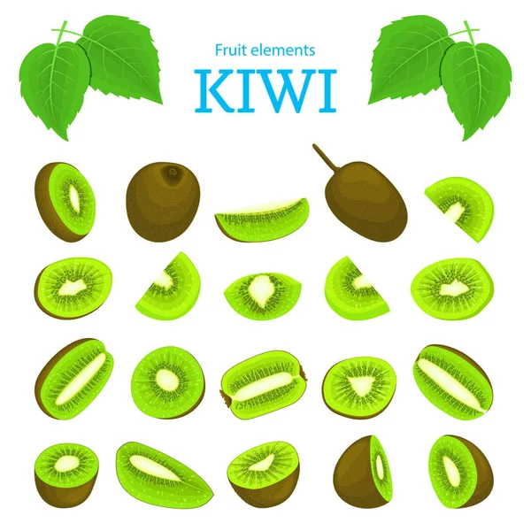 Vektor set buah kiwi tropis masak. Kiwifruit kupas, sepotong setengah biji slice. Koleksi elemen-elemen perancang hijau yang lezat sedang mencari makanan yang mengandung jus kemasan. - Stok Vektor