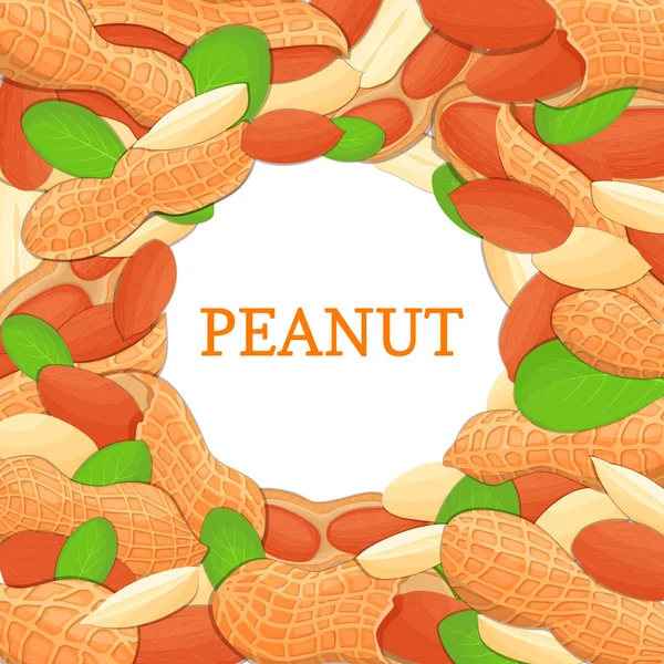 Кругла кольорова рамка, що складається з арахісового горіха. Векторна ілюстрація картки. Круглі горіхи, подрібнені фрукти в мушлі, цілі, захищені, листя апетитні шукають дизайн упаковки здорової їжі — стоковий вектор