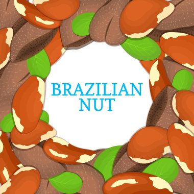 Renkli çerçeve Brezilyalı somun oluşur. Vektör kartı çizim. Daire fındık, brazilnut meyve kabuğu, Bütün, kabuklu, yaprakları tasarım sağlıklı gıda ambalaj için seyir iştah açıcı