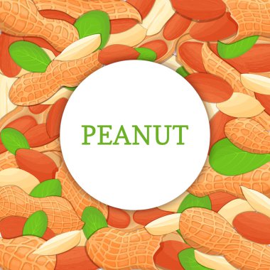 Renkli çerçeve fıstık somun oluşur. Vektör kartı çizim. Daire fındık, yer fıstığı meyve kabuğu, Bütün, kabuklu, yaprakları tasarım sağlıklı gıda ambalaj için seyir iştah açıcı