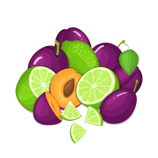 Složení několika švestka a citrus lime ovoce. Zralé vektor švestky a tropické citrusy ovoce. Skupina celé chutné ovoce a plátek design balení džusů, koktejlů, zdravé potraviny, vegan jíst. — Stockový vektor