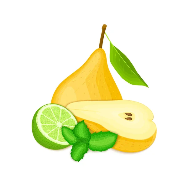 Διάνυσμα σύνθεση λίγα εσπεριδοειδή ασβέστη κίτρινο αχλάδια και φύλλα μέντας. Κίτρινο αχλάδι φρούτα και τροπικά ασβέστη. Ομάδα νόστιμο ώριμων φρούτων με πιπέρι μέντα σχεδιασμού φύλλο χυμό πρωινό υγιεινή για χορτοφάγους τροφίμων — Διανυσματικό Αρχείο
