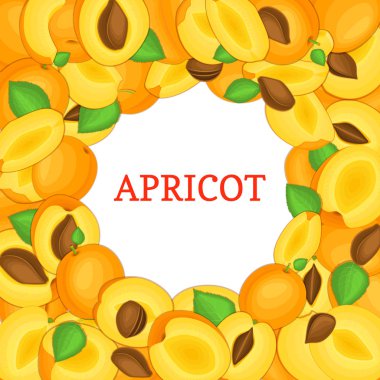 Renkli çerçeve lezzetli sulu kayısı meyvesi oluşur. Vektör kartı çizim. Daire kayısı çerçeve. İştah açıcı olgunlaşmış taze meyve suyu, ambalaj tasarımı için arıyorum gıda Servis Kahvaltı