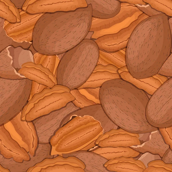 Vector seamless pattern pecan nut. — Stock Vector