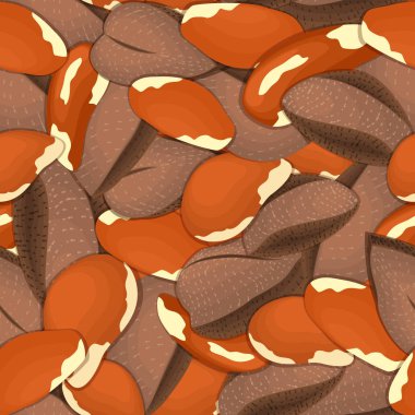 Vektör seamless modeli Brezilya cevizi