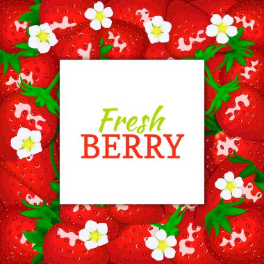 olgun çilek arka plan üzerinde kare beyaz etiket. Vektör kartı çizim.