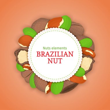Yuvarlak afiş Brezilya cevizi oluşur. Vektör kartı çizim. Daire fındık çerçeve, Brezilya fındık meyve kabuğu, tüm, yaprak sağlıklı gıda ambalaj tasarımı için kabuklu