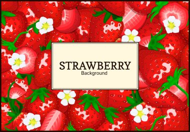 Çilek arka plan üzerinde dikdörtgen etiket. Vektör kartı çizim.