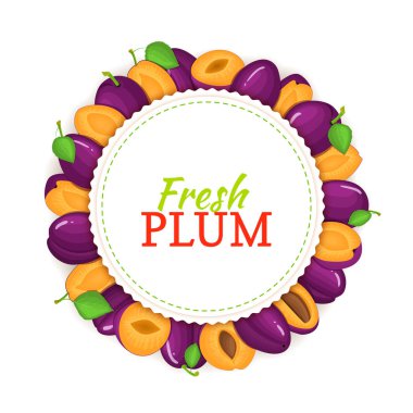 Yuvarlak kare olgun Erik meyve oluşur. Vektör kartı çizim.