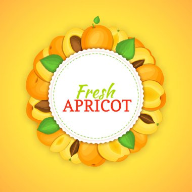 Olgun kayısı meyvesi yuvarlak kare oluşur. Vektör kartı çizim.