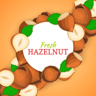 Fındık ceviz çapraz kompozisyon arka plan üzerinde yuvarlak beyaz çerçeve. Vektör kartı çizim.
