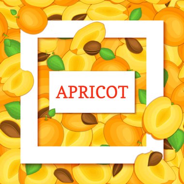 Beyaz kare ve dikdörtgen etiket kayısı meyve yaprakları arka plan üzerinde kare. Vektör kartı çizim