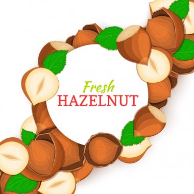Fındık ceviz çapraz kompozisyon arka plan üzerinde yuvarlak beyaz çerçeve. Vektör kartı çizim.