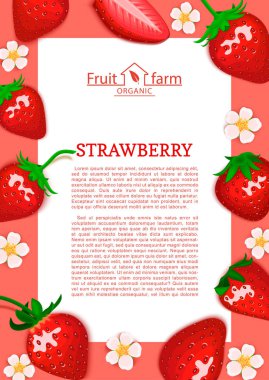 Pembe dikdörtgen çerçeve ve karikatür kırmızı çilek meyve yaprak ve çiçek. Vektör kartı çizim.