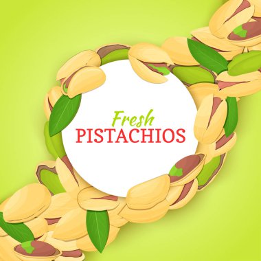Antep fıstığı çapraz kompozisyon arka plan üzerinde yuvarlak beyaz çerçeve. Vektör kartı çizim.