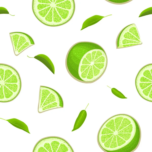 Fond de citron vert tropical juteux mûr. Illustration de carte vectorielle . — Image vectorielle