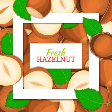 Beyaz kare ve dikdörtgen etiket deli fındık arka plan üzerinde kare. Vektör kartı çizim