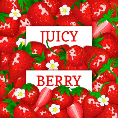 İki dikdörtgen etiket çilek meyve arka plan üzerinde beyaz. Vektör kartı çizim.