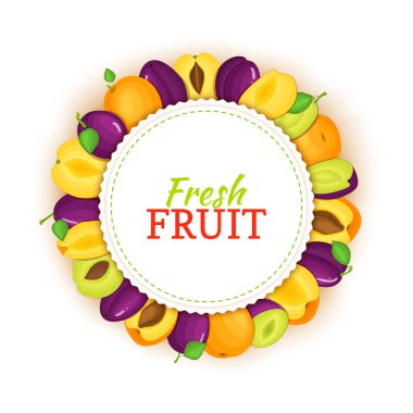 Renkli çerçeve kayısı Erik oluşur. Vektör kartı çizim. Meyve etiket.