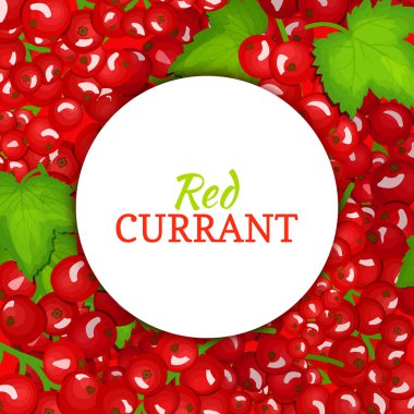 Olgun kırmızı kuş üzümü arka plan üzerinde yuvarlak beyaz etiket. Vektör kartı çizim. Ambalaj tasarım gıda, meyve suyu, reçel, dondurma, smoothies, Detoks, kozmetik krem için kırmızı dut taze ve sulu Frenk üzümü çerçeve