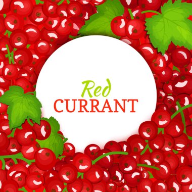 Olgun kırmızı kuş üzümü arka plan üzerinde yuvarlak beyaz etiket. Vektör kartı çizim. Ambalaj tasarım gıda, meyve suyu, reçel, dondurma, smoothies, Detoks, kozmetik krem için kırmızı dut taze ve sulu Frenk üzümü çerçeve