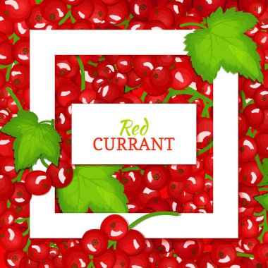 Beyaz kare ve dikdörtgen etiket kırmızı dut arka plan üzerinde kare. Vektör kartı çizim. Frenk üzümü meyve ve yaprakları ambalaj tasarım yemek suyu, reçel, dondurma, smoothies, Detoks, kozmetik, çay için