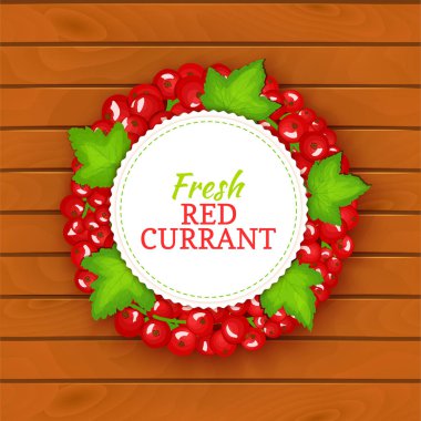 Ahşap arka plan, renkli çerçeve Frenk üzümü oluşan yuvarlak ile sınır panoları. Vektör kartı çizim. Meyve etiket. Daire Frenk üzümü etiket meyve çilek ve ambalaj tasarımı için yaprakları