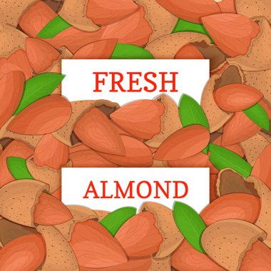 İki dikdörtgen etiket badem fındık meyve arka plan üzerinde beyaz. Vektör kartı çizim. Çatlak desen ceviz yaprakları gıda ambalaj kahvaltı tasarım için bütün ve dilim detoks diyet, vegan, Kozmetik yağı