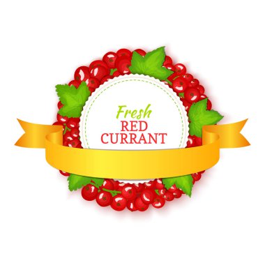 Renkli kare kırmızı kuş üzümü altın şerit ile oluşur. Vektör kartı çizim. Meyve etiket. Daire Frenk üzümü etiket meyve çilek ve kozmetik krem, reçel, meyve suyu ambalaj tasarımı için yaprakları