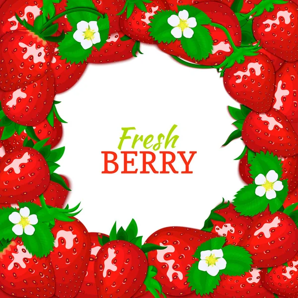 Çilek Çilek beyaz kare yuvarlak. Vektör kartı çizim. Taze ve sulu meyve çilek arka plan tasarımı gıda ambalaj Kahvaltı, Detoks, kozmetik, reçel, meyve suyu için metin için yer ile.