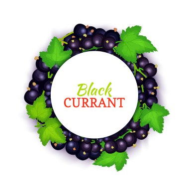 Renkli çerçeve Siyah frenk üzümü oluşur. Vektör kartı çizim. Meyve etiket. Daire Frenk üzümü etiket meyve çilek ve gıda, Detoks, kozmetik krem, reçel, meyve suyu ambalaj tasarımı için yaprakları