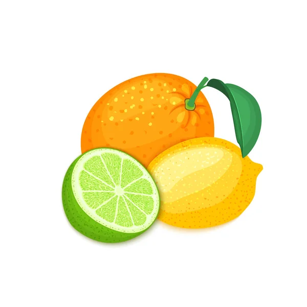Sammansättningen av tropiska apelsin, citron och lime frukter. Grupp av mogen vektor citrus frukter hela och skiva för design mat förpackningar frukost, detox, cosmetics kräm, sylt, juice — Stock vektor