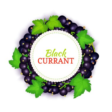 Renkli çerçeve Siyah frenk üzümü oluşur. Vektör kartı çizim. Meyve etiket. Daire Frenk üzümü etiket meyve çilek ve gıda, Detoks, kozmetik krem, reçel, meyve suyu ambalaj tasarımı için yaprakları