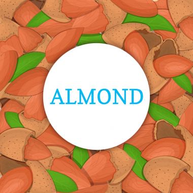 Renkli çerçeve badem fındık oluşur. Vektör kartı çizim. Daire fındık, badem meyve kabuğu, Bütün, kabuklu, yaprakları tasarım sağlıklı gıda ambalaj için seyir iştah açıcı