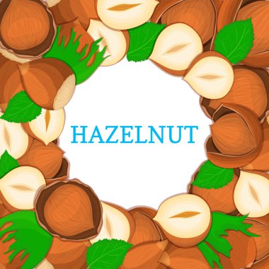 Renkli çerçeve fındık oluşur. Vektör kartı çizim. Daire fındık, ceviz meyve kabuğu, Bütün, kabuklu, yaprakları tasarım sağlıklı gıda ambalaj için seyir iştah açıcı