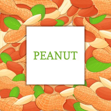 Kare renkli çerçeve fıstık somun oluşur. Vektör kartı çizim. Fındık, yer fıstığı meyve kabuğu, Bütün, kabuklu, yaprakları tasarım sağlıklı gıda ambalaj için seyir iştah açıcı