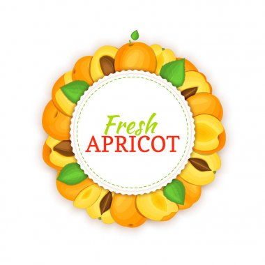 Olgun kayısı meyvesi yuvarlak kare oluşur. Vektör kartı çizim.