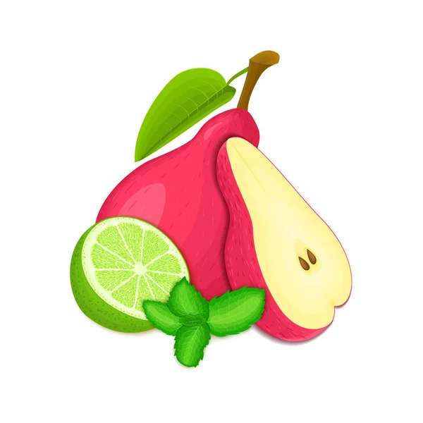 De samenstelling van de vector van een paar rode peren citrus limoen en de muntblaadjes. Peer van rode vruchten en tropische kalk. Groep van lekker rijp fruit met peper mint blad ontwerp van SAP ontbijt gezond veganistisch eten — Stockvector