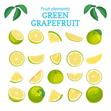 Vektör olgun tropikal greyfurt meyve büyük kümesi. Yeşil portakal soyulmuş yarım dilim yaprak parçası. Suyu kahvaltı sağlık gıda ambalajlama için lezzetli narenciye pomelo tasarımcı öğeleri koleksiyonu
