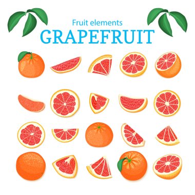 Vektör olgun tropikal greyfurt meyve büyük kümesi. Kırmızı portakal soyulmuş yarım dilim kağıt. Suyu kahvaltı sağlık gıda ambalajlama için lezzetli narenciye pomelo tasarımcı öğeleri koleksiyonu.