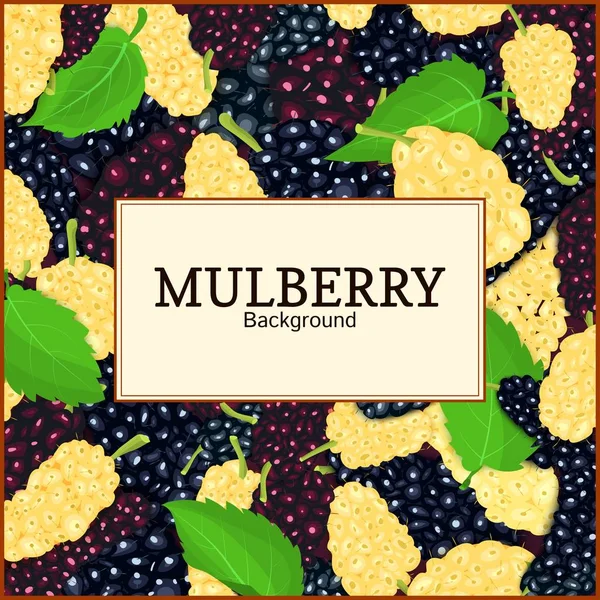Square frame and label on ripe mulberry berry and leaves background. Vector card illustration. Mulberry beries fresh and juicy frame for design of food packaging juice breakfast tea detox diet. — Stock Vector