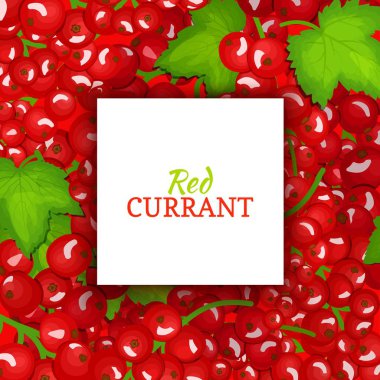 Beyaz bir çerçeve, etiket kırmızı dut arka plan üzerinde kare. Vektör kartı çizim. Frenk üzümü meyve ve yaprakları ambalaj tasarım gıda, meyve suyu, reçel, dondurma, smoothies, Detoks, kozmetik, çay için.