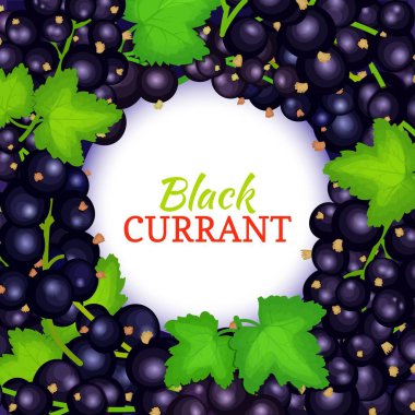 Olgun Siyah frenk üzümü arka plan üzerinde yuvarlak beyaz etiket. Vektör kartı çizim. Ambalaj tasarım gıda, meyve suyu, reçel, dondurma, smoothies, Detoks, kozmetik krem için siyah dut taze sulu üzümü çerçeve.