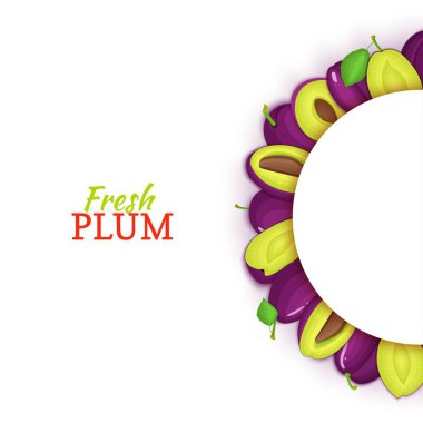 Yarım daire renkli çerçeve lezzetli Erik meyve oluşur. Vektör kartı çizim. Taze Erik yarı yuvarlak beyaz çerçeve tasarımı gıda ambalaj suyu, Kahvaltı, kozmetik çay, Detoks, diyet için.