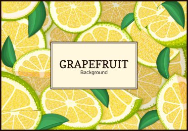 Narenciye greyfurt arka plan üzerinde dikdörtgen etiket. Vektör kartı çizim. Tropikal sulu yeşil pomelo çerçeve soyulmuş yarım dilim gıda ambalaj suyu Kahvaltı, çay diyet juce tasarım için parça
