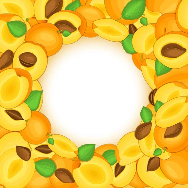 Круглая цветная рамка, состоящая из вкусных фруктов абрикосов. Векторная иллюстрация карты. Абрикосы круглой дыры. Спелые фрукты для дизайна упаковки пищевых соков — стоковый вектор